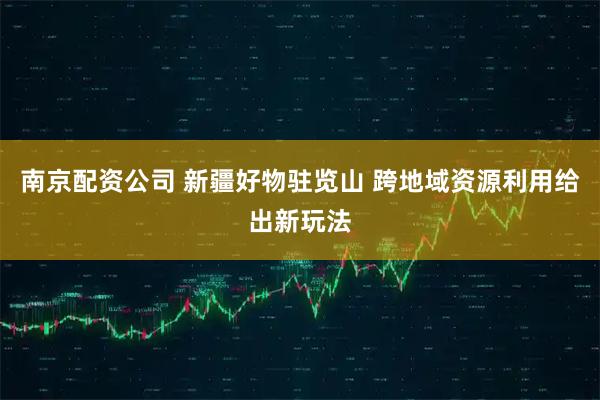 南京配资公司 新疆好物驻览山 跨地域资源利用给出新玩法
