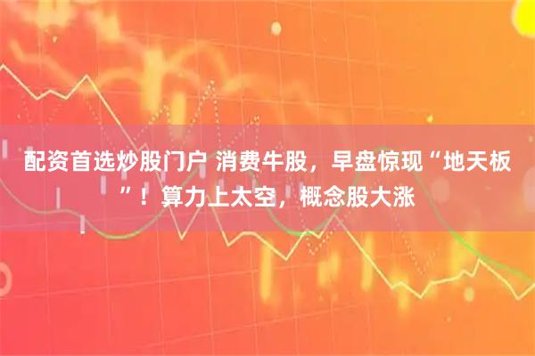 配资首选炒股门户 消费牛股，早盘惊现“地天板”！算力上太空，概念股大涨