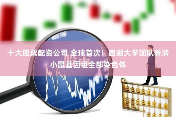十大股票配资公司 全球首次！西湖大学团队看清小鼠基因组全部染色体